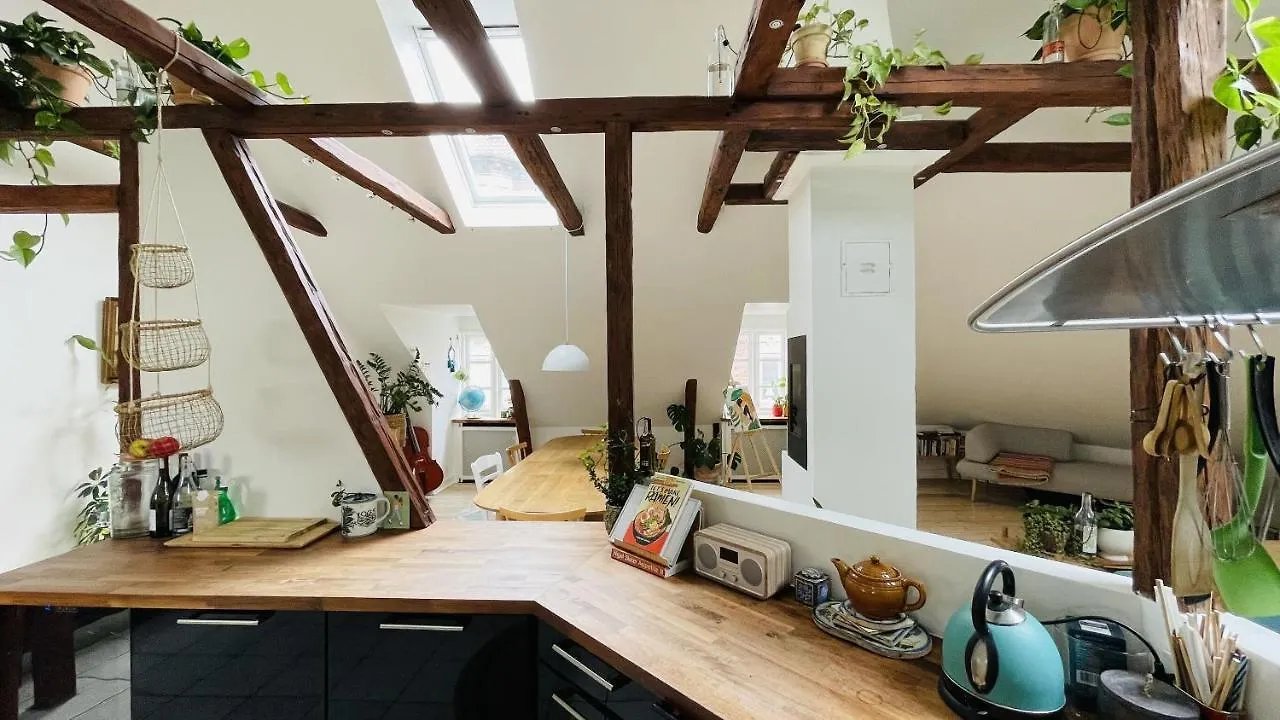 Apartmentincopenhagen Apartment 1488  كوبنهاجن
